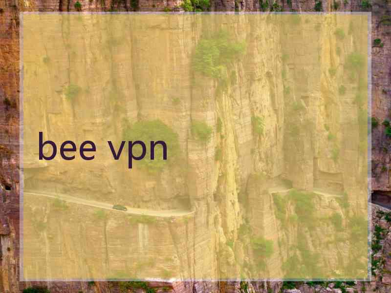 bee vpn